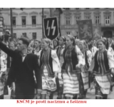 Divize Waffen SS „Halič“ - jejich symboly nejsou nacistické